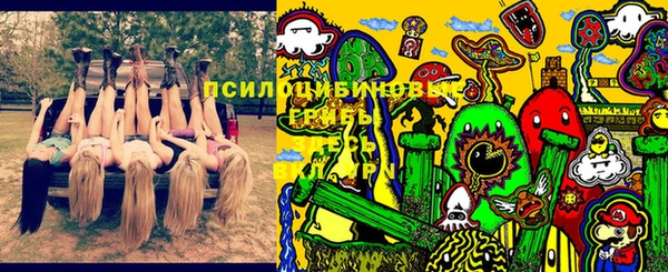 mix Алексин