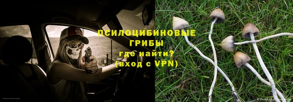 mix Алексин