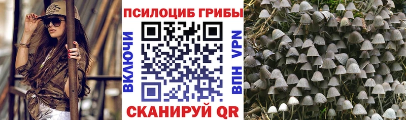 цены наркотик  Ермолино  Псилоцибиновые грибы прущие грибы 